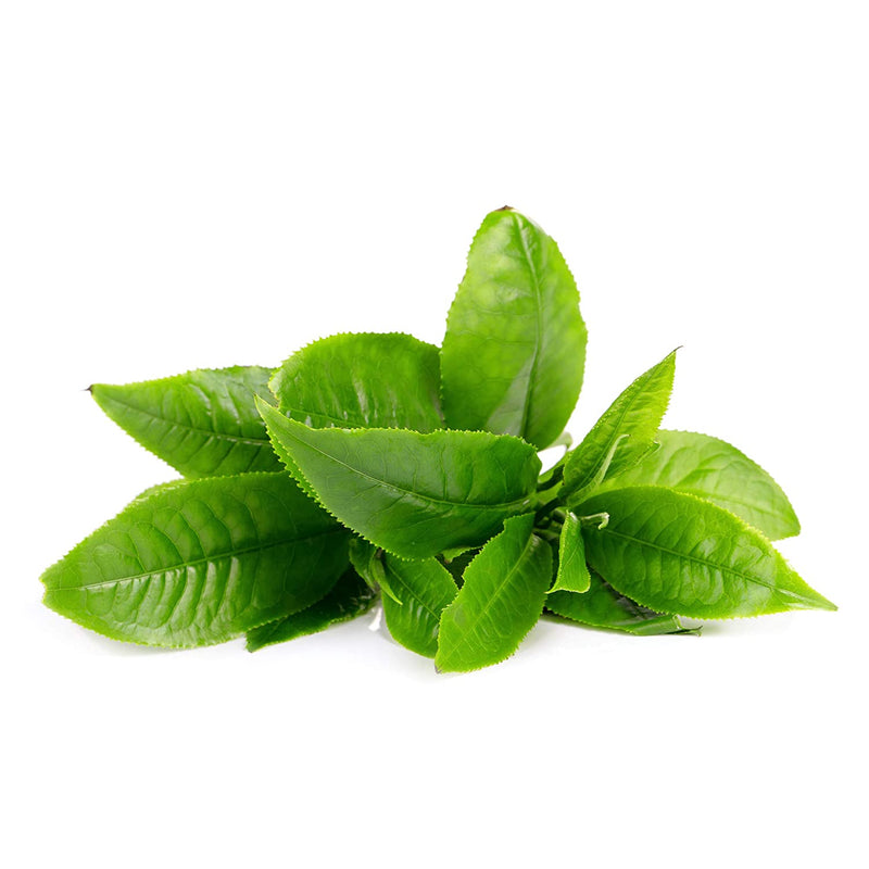 FOREO UFO activated mask Green Tea Beauty Coquette