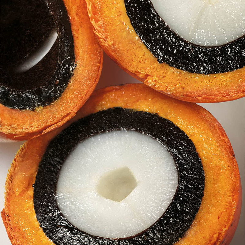 natura Ekos Tukumã Replenishing Duo Infinity Warehouse