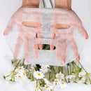 FaceTory Dream Garden Chamomile Waffle Sheet Mask (Pack of 5)- Jelly Essence, Hydrating, Soothing, Nourishing FACETORY