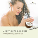 Peppermint Shampoo and Conditioner by Tree to Tub - Sulfate Free for Sensitive Scalp and Hair - pH 5.5 Balanced Duo with Soapberry & Argan Oil Tree to Tub