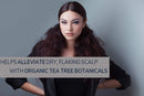 GIOVANNI Tea Tree Triple Treat Invigorating Shampoo & Conditioner Set, Cooling Peppermint, Conditioning Rosemary, Eucalyptus, Helps Dry Flaking Scalp, Sulfate Free,Paraben (Tea Tree Botanicals) GIOVANNI