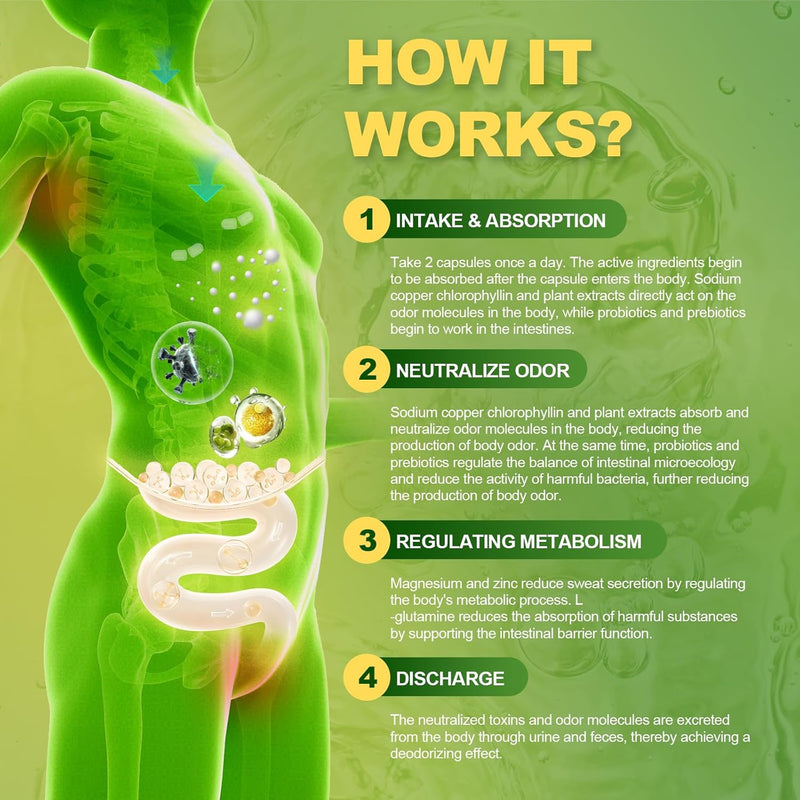 Chlorophyll Body Deodorizing Supplement with Probiotic & Prebiotic, Magnesium, Zinc, L-Glutamine Deodorant Supplements for Women & Men, 120 Count Infinity Warehouse