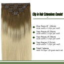 GOO GOO Human Hair Extensions Clip in Ombre Ash Brown to Platinum Blonde 120g 7pcs 18 Inch Straight Real Clip in Hair Extensions Thick Hair Weft Natural Remy Hair Extensions for Women GOO GOO Store