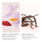 SOTHYS Restructuring Youth Cream | Anti Wrinkle Face Moisturizer | Hydrating Facial Lotion Infinity Warehouse