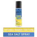 Got2b Beach Trippin' Salt Spray, Hair Spray, 6.8 Fl Oz Got2B Store