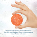 Naples Soap Company, 50-75 Use, Solid Shampoo Bar, Gentle, Sulfate Free, Eco-Friendly Haircare Helps Ensure Nourished and Healthy Hair, All Hair Types, Florida Fresh, 2.25 oz. Naples Soap Company Naturally Better Skin Care