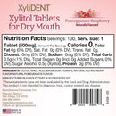 XyliDENT Xylitol Tablets for Dry Mouth Relief - Stimulates Saliva, Freshens Breath, Reduces Acid Production, Fast Acting Extended Relief, 100 Count Nature's Stance