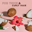 SheaMoisture Travel Shampoo & Conditioner (12 Sets, 24 Bottles), Coconut & Hibiscus Curl & Shine, Frizz Control, Curly Hair Products, 3.2 Oz Ea Infinity Warehouse