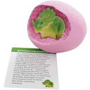 Bath Bombs for Kids - Kids Bath Bomb with Surprise Inside - Dinosaur Toys Gift for Boys and Girls Ages 3 4 5 6 7 & 8 Years Old Easter Toy Kid Gifts - Fun Educational Bath Toys. Dino Egg Fizzy Set Dan&Darci