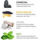 Himalaya Botanique Whitening Antiplaque Toothpaste with Charcoal + Black Seed Oil, Fluoride Free, for Whiter Teeth, 4 oz, 2 Pack… Infinity Warehouse