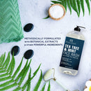 BOTANIC HEARTH Tea Tree Face Wash with Mint - Acne Fighting, Therapeutic, Hydrating Liquid Face Soap with Pure Tea Tree Oil - for Women and Men, Paraben Free, Fights Acne - 16 fl oz Botanic Hearth Store