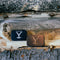 Tru Fragrance Beauty Yellowstone Mens Solid Cologne(Yellowstone Ride) Infinity Warehouse