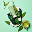 innisfree Green Tea Seed Intensive Hydrating Cream Face Moisturizer innisfree
