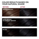 L'Oreal Paris Superior Preference Fade-Defying + Shine Permanent Hair Color, 1.0 Ultimate Black, Pack of 1, Hair Dye L'Oreal Paris