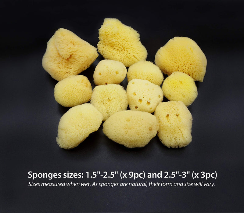Natural Sea Silk Sponges 12pk: Size 1.5"-3" like Cotton Balls, for Cosmetic Use, Makeup Application & Removal, Face & Eye Cleaning, with Luxury Gift Bag by Constantia Beauty® Constantia Beauty
