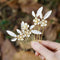 Aukmla Flower Bride Wedding Hair Comb with Hair Pins Gold Leaf Bridal Hair Piece Crystal Hair Jewelry Pearl Hair Accessories for Women and Girls (Pack of 3) Aukmla