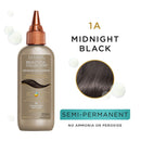 Clairol Professional Beautiful Advanced Gray Solutions, 1a Midnight Black, 3 oz Clairol Professional