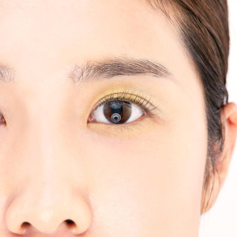 Paul & Joe Face & Eye Color CS, Green, Yellow, Eyeshadow and Cheek Blush, Soft and Clear color, 135 Calm Sunlight Through Leaves, 0.12 oz Infinity Warehouse