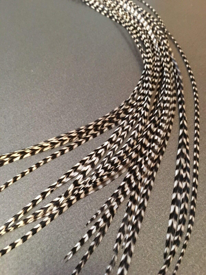 Hair Feathers Kit, 20 Long Feather Extensions with beads and loop tool kit, Black and White Striped,100% Real Rooster Feather Accessories, BW GRIZZ Feather Lily