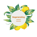 ATTITUDE Super Leaves, Hypoallergenic Body Wash, Lemon Leaves, Fluid Ounce, 473 ML (11292) Regenerating 16 Fl Oz ATTITUDE