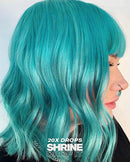 Shrine Drop It - Aqua Hair Dye Kit - Semi-Permanent Hair Color | Create Any Shade From Pastel to Vibrant | 200 Drops Per Bottle | Multi-Use, Vegan & Cruelty Free Shrine