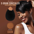 Belloccio Complete Cordless Handheld Airbrush Cosmetic Makeup System with 5 Dark Foundation Shades, Professional 18-Piece Kit, Moisturizing Primer, Blush, Bronzer, Highlighter, Concealer, User Guide Infinity Warehouse