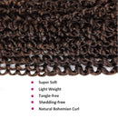 Dorsanee Passion Twist Hair Water Wave Crochet Braids for Passion Twist Crochet Hair Passion Twist Braiding Hair Hair Extensions (6Packs, 14Inch, T30