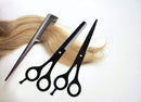 Facón Professional Razor Edge Hair Cutting/Thinning Scissors Set - Japanese Stainless Steel - 6.5" Length - Fine Adjustment Tension Screw - Salon Quality Premium Shears (The Bravo) Facon Store