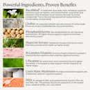 Stonehenge Health Dynamic Brain | Bacopa Supplement for Memory and Focus Infinity Warehouse