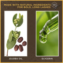 Burts Bees 100% Natural Nourishing Mascara, Classic Black - 0.4 Ounce (Pack of 2) Burt's Bees