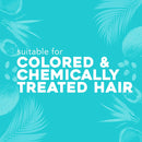 OGX Strength & Length + Golden Turmeric Conditioner with Coconut Milk to Soothe Scalp & Nourish Hair, Ayurveda Sulfate-Free Surfactants for Stronger & Longer Hair, 13 fl. oz OGX Store