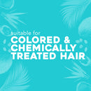 OGX Strength Length + Golden Turmeric Conditioner with Milk to Soothe Scalp Nourish Hair, Ayurveda SulfateFree Surfactants for Stronger Longer Hair, Coconut, 13 Fl Oz OGX
