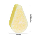 Spongeables AntiCellulite Body Wash In A Sponge With Vitamin C Reduce The Appearance Of Cellulite Moisturizer and Exfoliator for The Body 20+ Washes, Citrus, 1 Count Spongeables Store