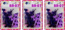 Tara Girls Self Hinge Plastic Bow Hair Barrettes Selection Pack Of 3 (BR07) Tara