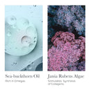 SOTHYS Renovative Night Cream | Collagen Infused Anti Aging Face Moisturizer for Wrinkles Infinity Warehouse