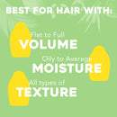 OGX Purifying + Charcoal Detox Dry Shampoo Spray with Activated Charcoal & Kaolin Clay for Fresh Full Hair, Dry Shampoo to Absorb Excess Oil & Revive Dull Second-Day Hair, 5 Ounce OGX
