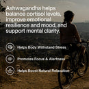 Momentous Ashwagandha Supplement - 300 mg NooGandha Ashwagandha Extract - Cognitive Performance, Alertness, & Focus Support - NSF Certified for Sport - Vegan - GMO- & Gluten-Free - 60 Servings Infinity Warehouse
