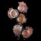 Hourglass - Scattered Light Eyeshadow- Reflect HOURGLASS