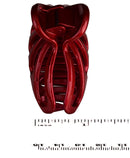 Parcelona French Small Rain Drop Small 2 3/4 Inches Red Jaw Hair Claw Clip (Glossy Red) Parcelona