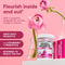 Physician's CHOICE Probiotics for Women - PH Balance, Digestive, UT, & Feminine Health - 50 Billion CFU - 6 Unique Strains for Her - Organic Prebiotics, Cranberry Extract+ - Women Probiotic - 30 CT Infinity Warehouse