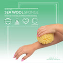 Neptune Natural Sea Wool Sponge - All Natural Honeycomb Renewable Sea Sponge, Jumbo, 6.5-7.5 inches Neptune Natural