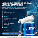 Liposomal NAD+ Supplement 500mg with Resveratrol – NAD Plus Capsules for Cellular Energy, Mitochondrial Support & Healthy Aging – NMN Alternative, Non-GMO, Vegan – 60 Capsules (30 Day Supply) Infinity Warehouse