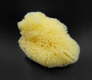 Natural Sea Silk Sponges 12pk: Size 1.5"-3" like Cotton Balls, for Cosmetic Use, Makeup Application & Removal, Face & Eye Cleaning, with Luxury Gift Bag by Constantia Beauty® Constantia Beauty