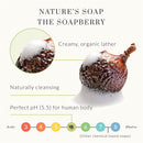 All Natural Body Wash & Citrus Shea Butter Body Lotion – For Dry, Sensitive Skin – Bundle by Tree To Tub with Wild Soapberries, Aloe Vera Tree to Tub