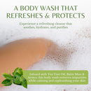 Tea Tree Oil Body Wash, Cleanses & Relieves Itchy Skin, Soothes Jock Itch, Acne & Ringworm, Shower Gel for Dry and Sensitive Skin, Women & Men, Organic & Natural, 16 fl oz, 2-Pack Infinity Warehouse