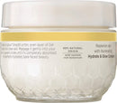 Burt's Bees Truly Glowing Replenishing Gel Cream, Moisturizer with Hydrate and Glow Complex for Normal and Combination Skin, 1.8 Fluid Ounces Burt's Bees Store