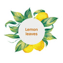 ATTITUDE Liquid Hand Soap, Plant- and Mineral-Based Formula, Vegan & Cruelty-free Personal Care Products, Lemon Leaves, 16 Fl Oz ATTITUDE