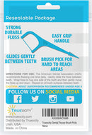 Trueocity Dental Flossers Brush Picks 4 Pack w/Travel Case (200 Total Count), Dental Floss Glides Easy Between Teeth, Flosser Helps Prevent Tooth Decay & Gum Disease, Easy Grip Handle, Mint Flavored Trueocity Store