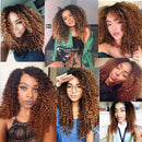 Ombre Kinky Curly Human Hair Bundle 1B/30 Brown Brazilian Hair 8A Grade Soft Human Hair Extension for Black Women 1Pcs/100g (16 Inch) Ladyrite