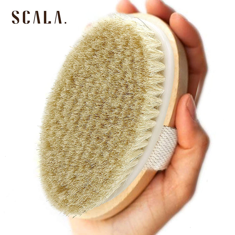 Wet and Dry Body Brush Exfoliator - Soft Bristle Brush Naturally Exfoliates Dead Skin, Smooths Cellulite, Slows Aging, Stimulates Lymph and Blood Flow by Scala Beauty, 5 x 2.75 In Scala